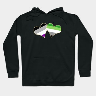 Double Attraction (Aro/Ace) Hoodie